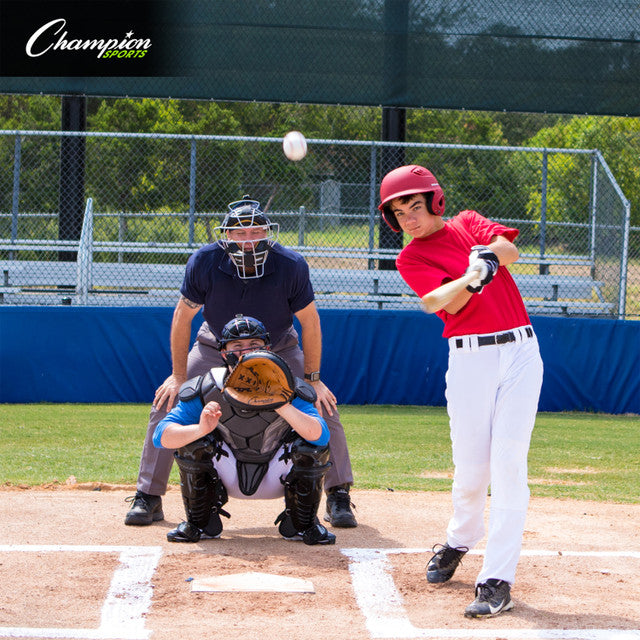 Champion Outside Plastic Shield Pro Chest Protector, 17"