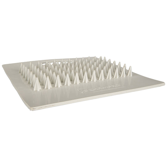 Champro CLEAT CLEANER