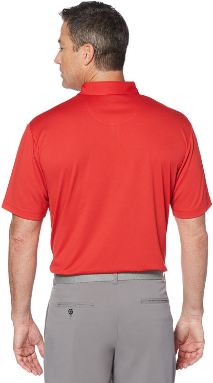 Birdseye Polo
