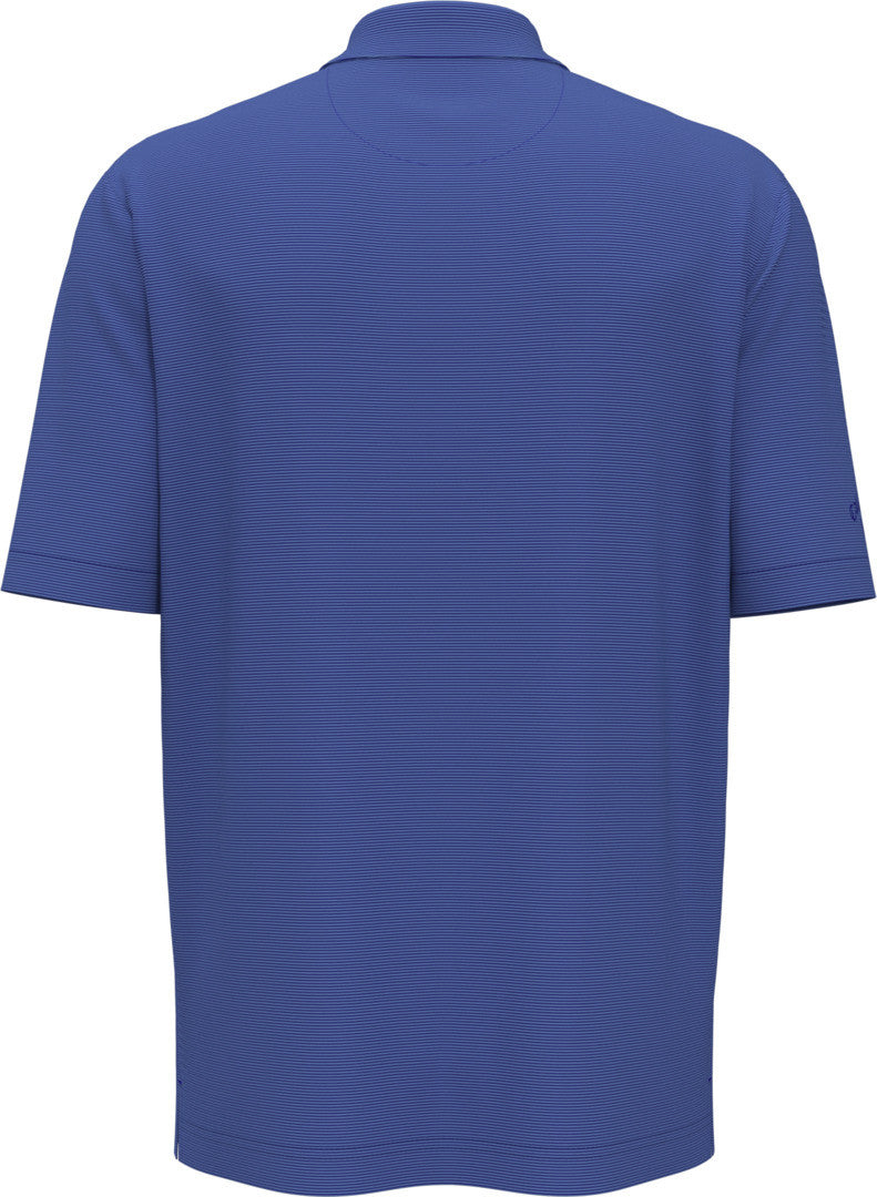 Fine Line Stripe Polo
