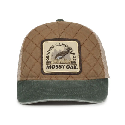 MOFS56-Mustard-Tea-Stain-Dark-Green