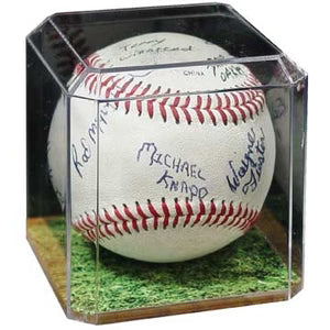 Baseball Display Case