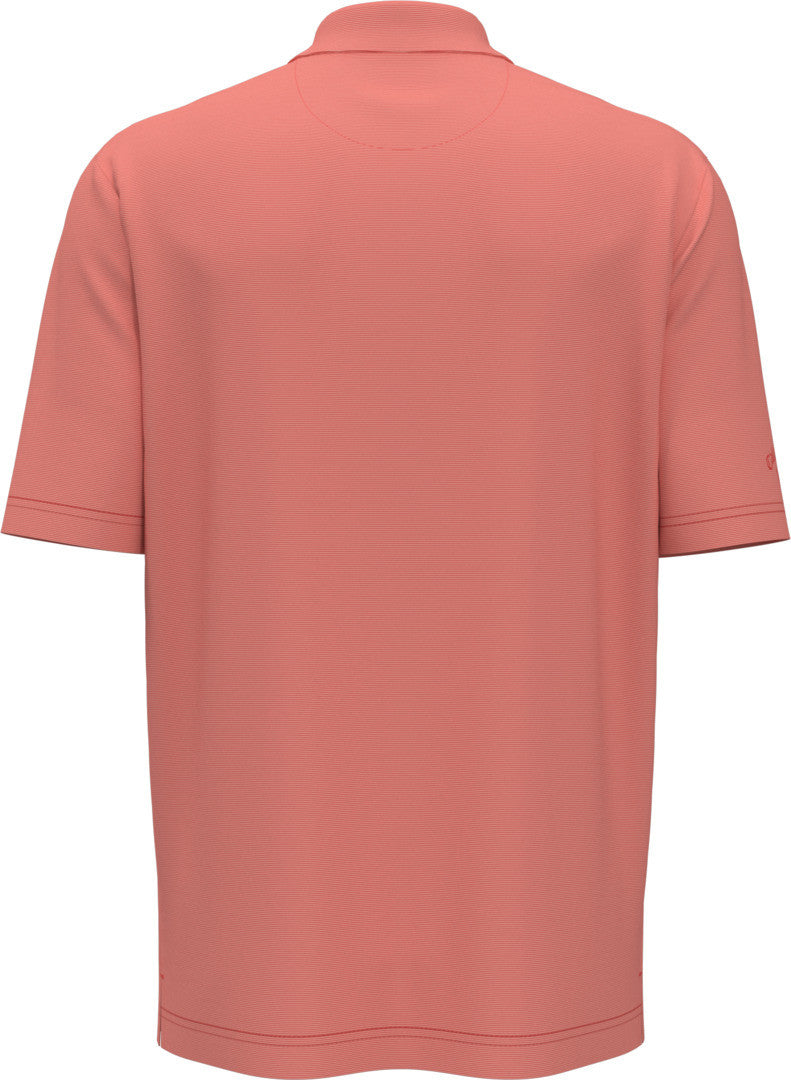 Fine Line Stripe Polo